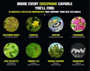 Benefits and Health Implications of Testosterone Therapy in Men With Testosterone Deficiency