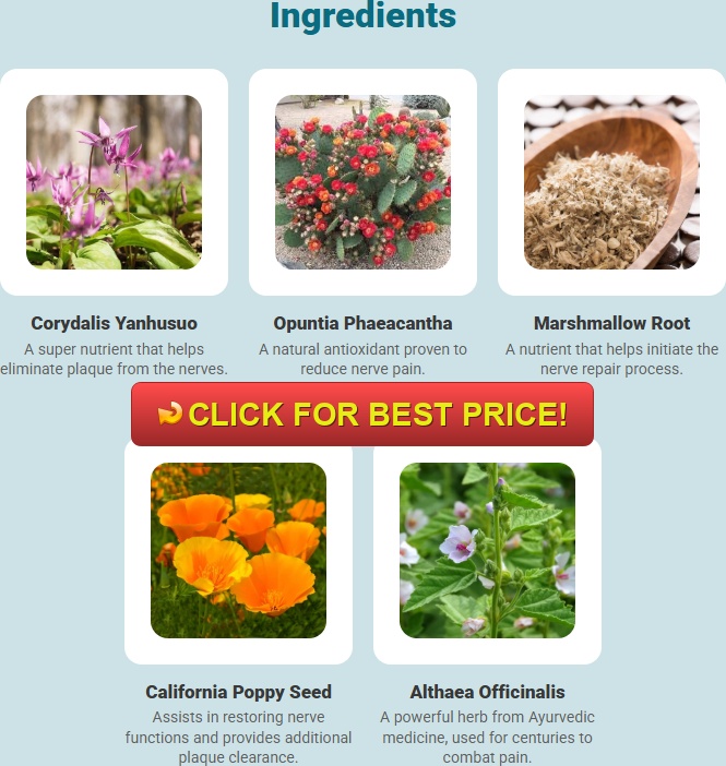 Calm Pro 5 Review: Nerve Calm Scam or Legit Supplement for Neuropathy Relief?