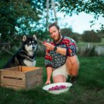 gut health dog food
