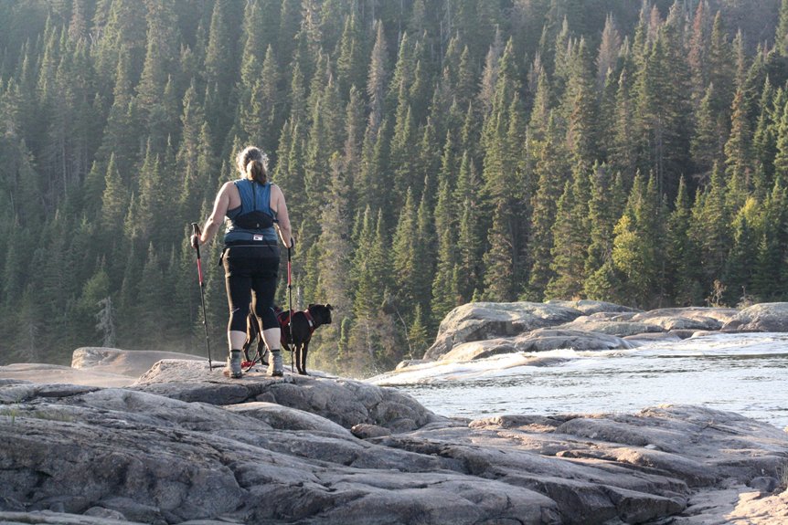 improve dog s gut health