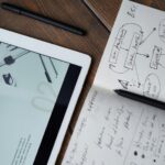 vector marketing sales program